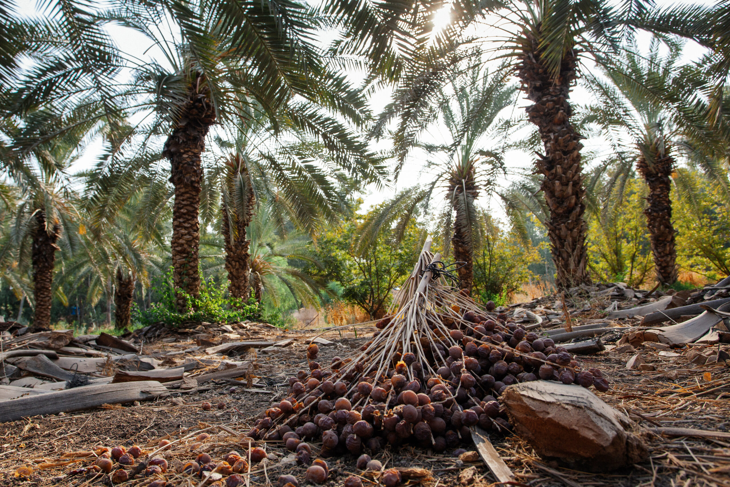 Facility Management Back